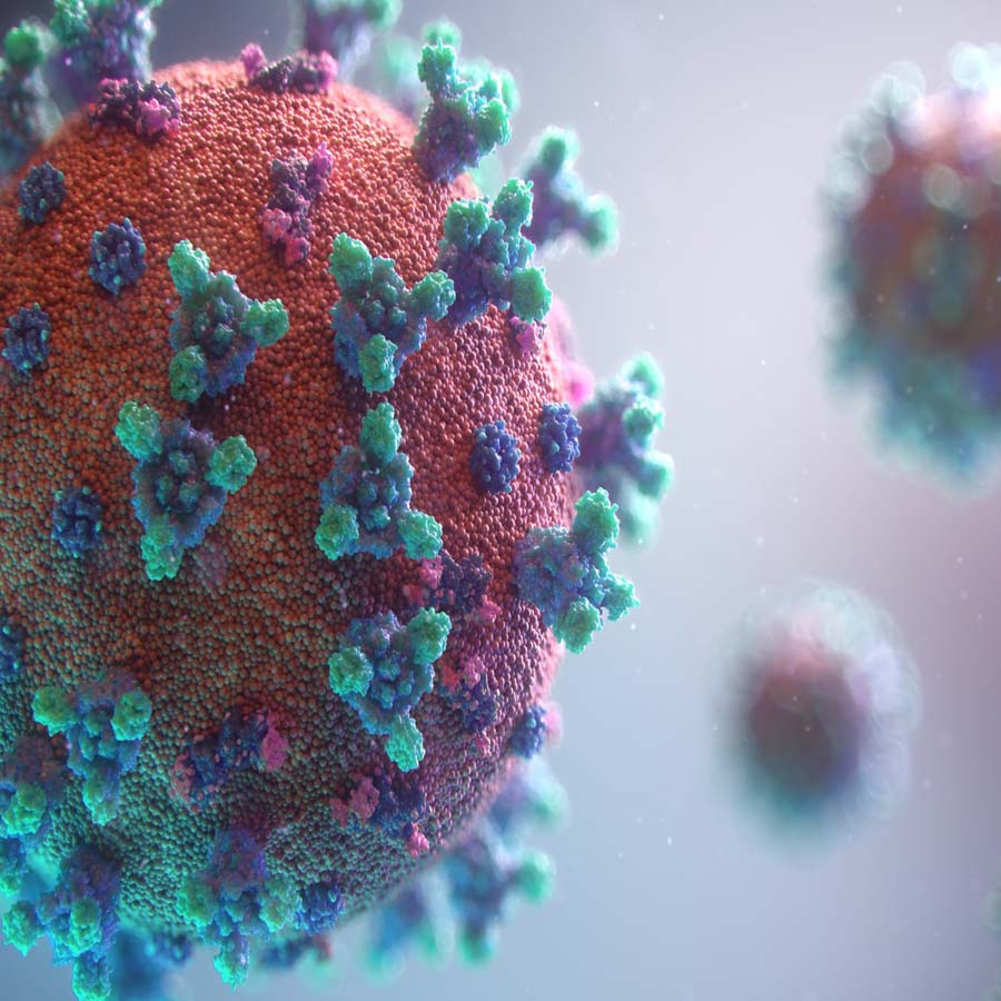 Image text reference